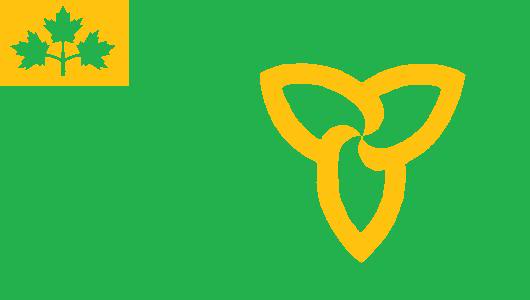 flag2-1.jpg