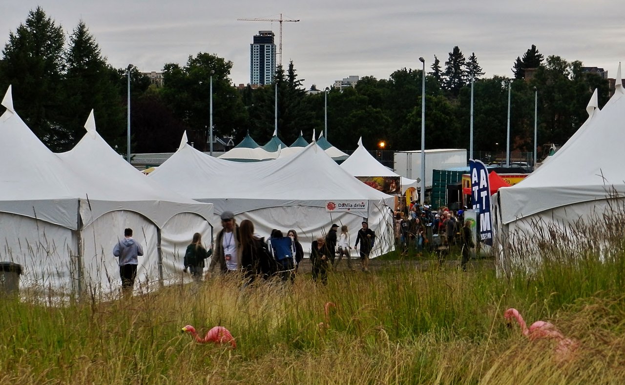 Folk Fest 2019 2019-08-09 209.JPG