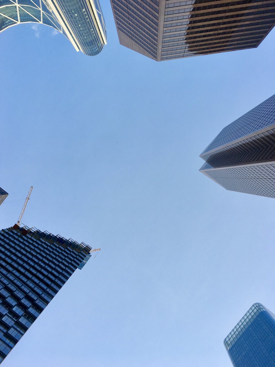 fullsizeoutput_2655.jpeg