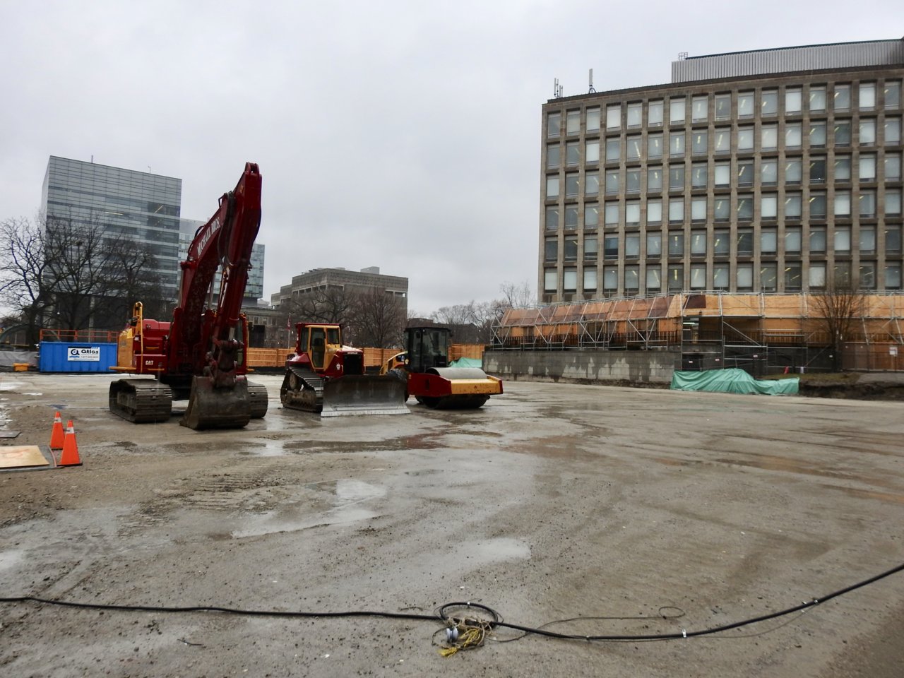 fullsizeoutput_3784.jpeg