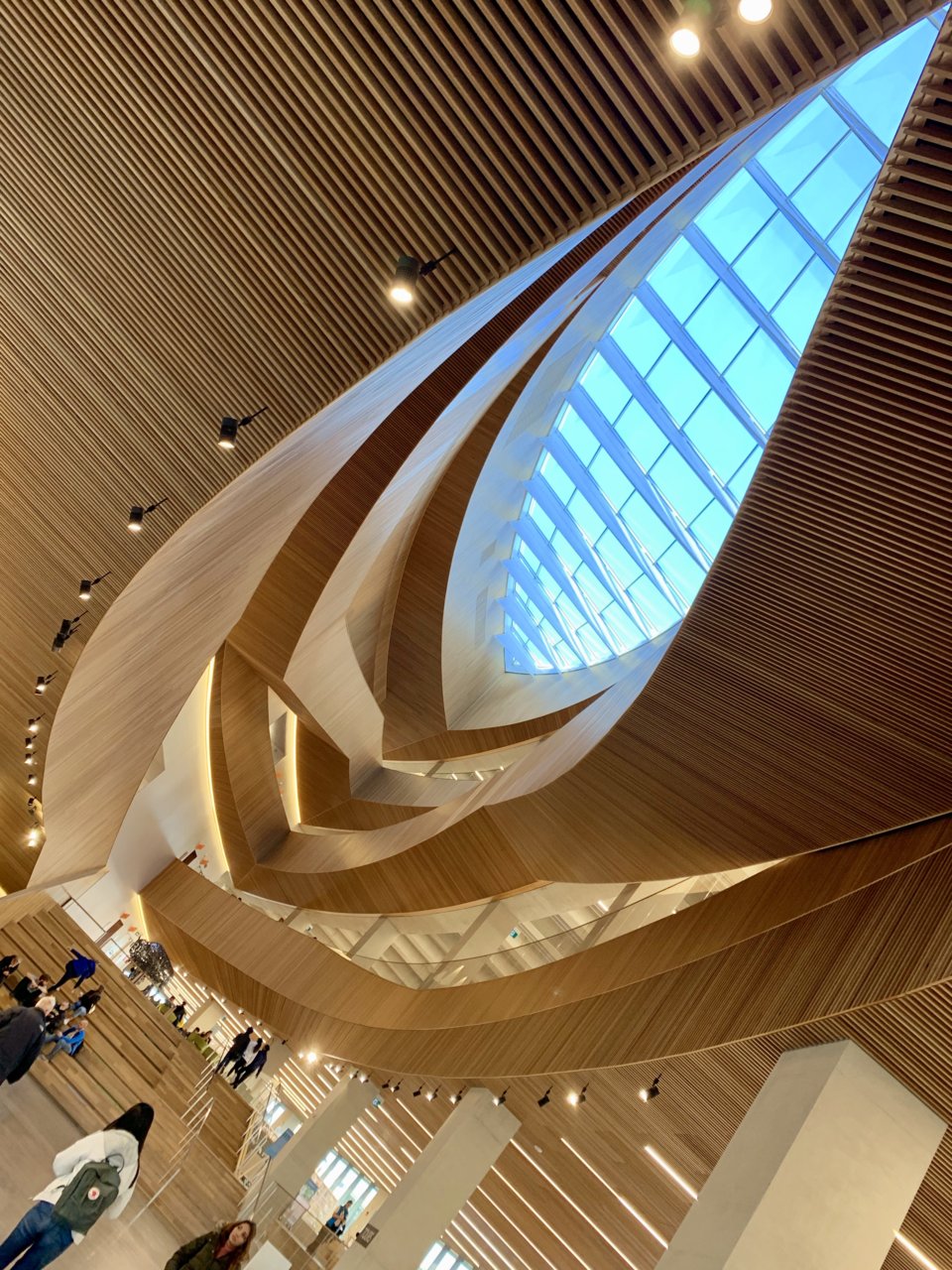 fullsizeoutput_3adf.jpeg