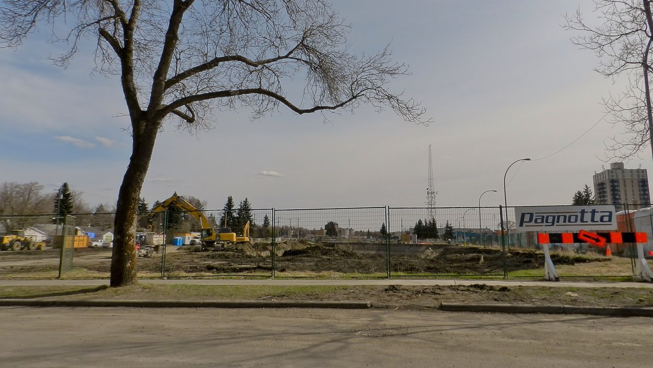 @ gardens and Holyrood 2020-04-28 013.JPG