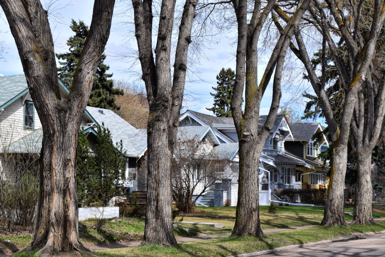 Garneau (85 Ave).jpg