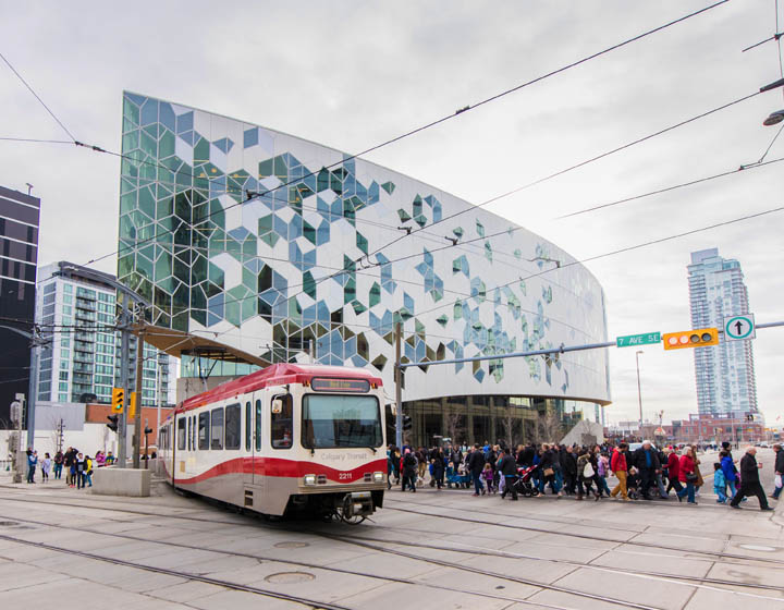 Getting-to-the-Library-720x560__ScaleMaxWidthWzE4MDBd.jpg