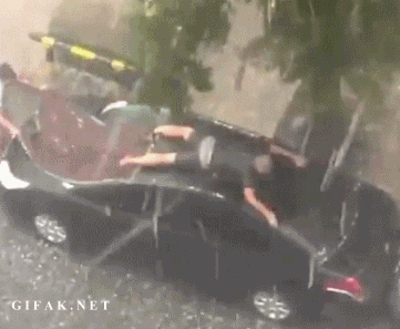 giphy (1).gif