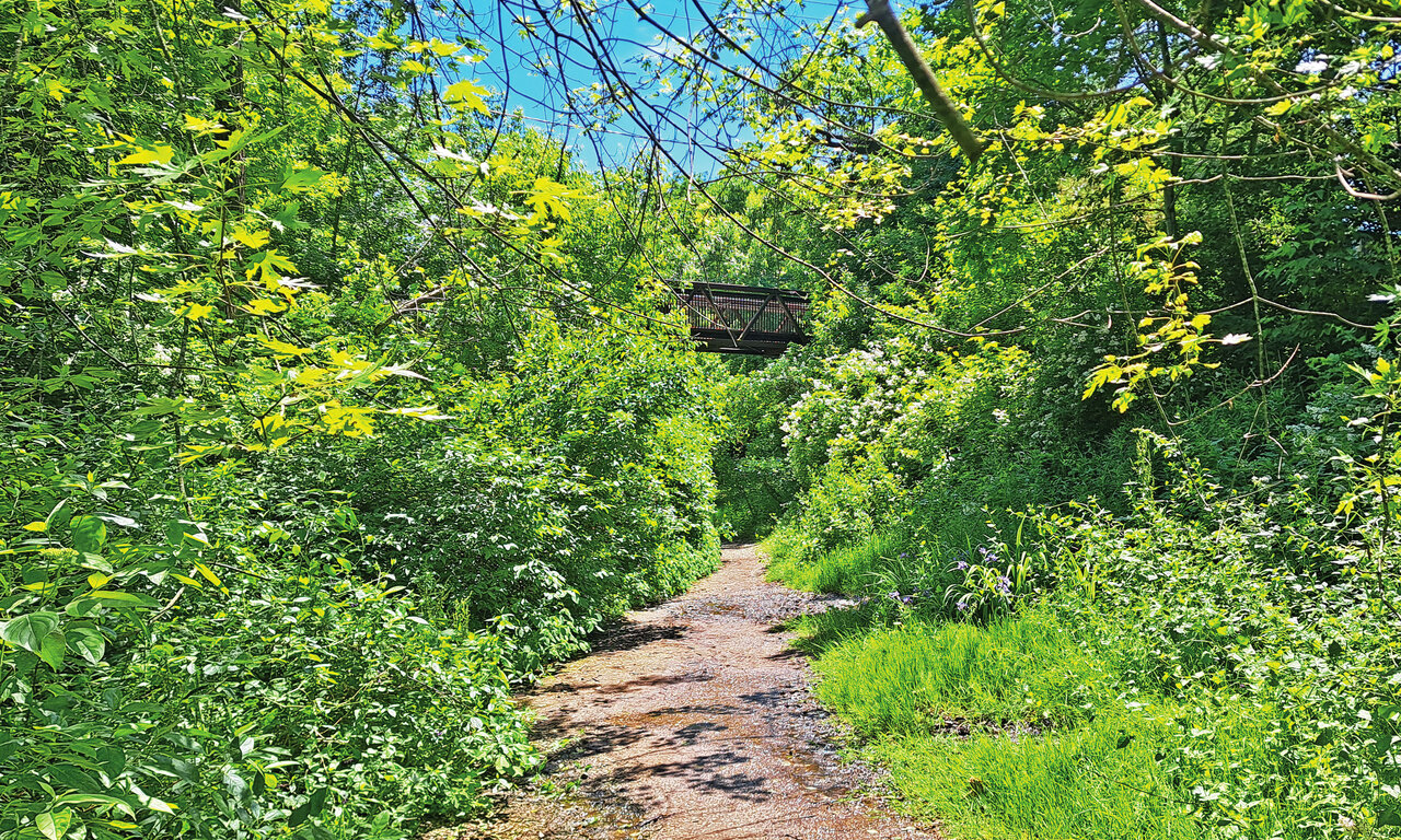 glenstew-01.jpg