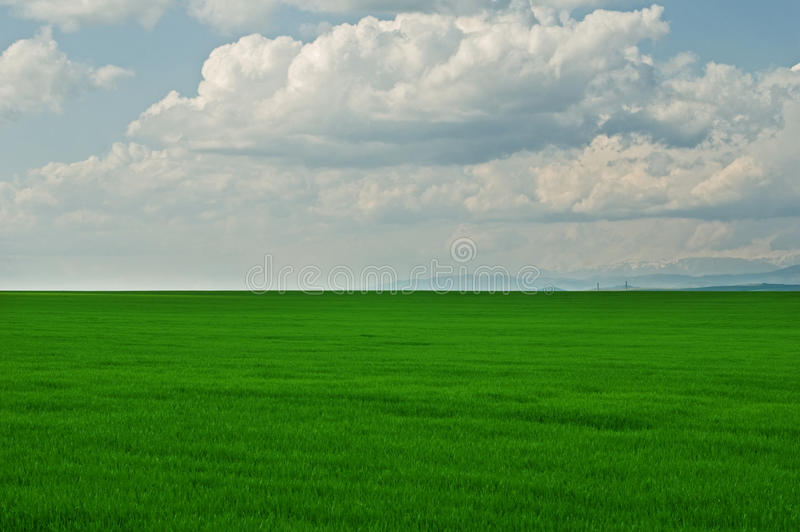 green-grass-field-cloudy-blue-sky-13971079.jpg