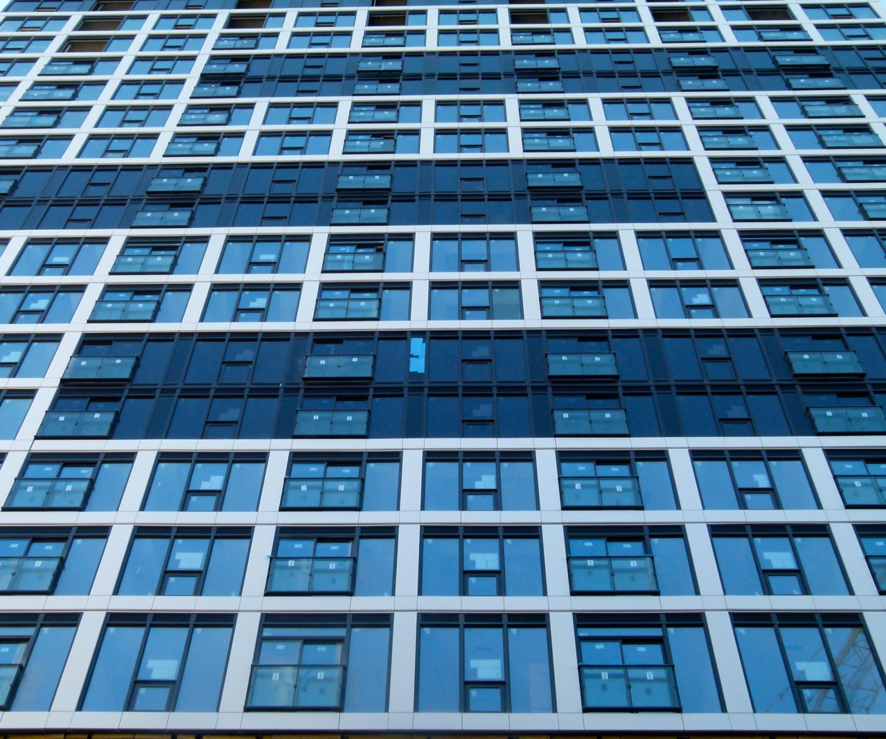 Grid.6.jpg