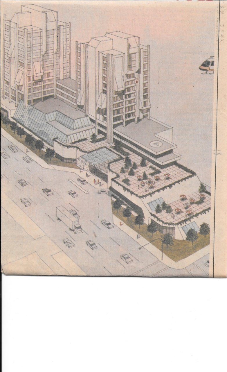 Hilton Rain Tree.jpg