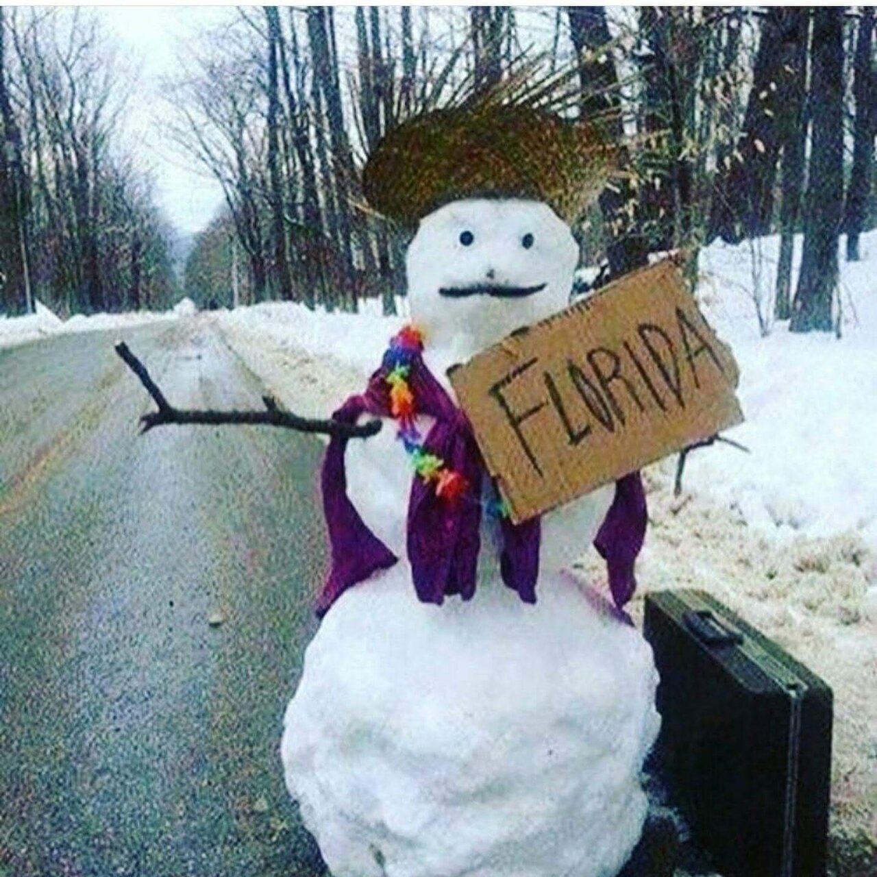 hitchhiking snowman.jpg