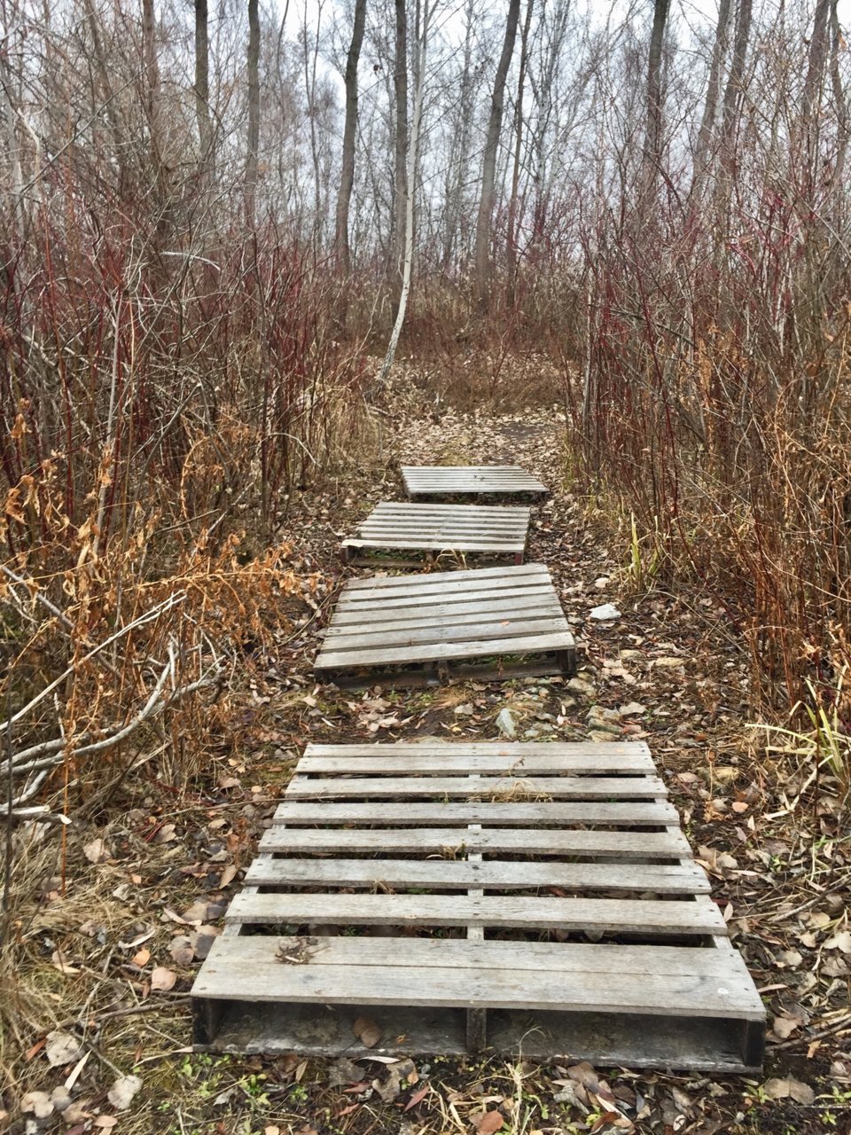 Image-5.jpg