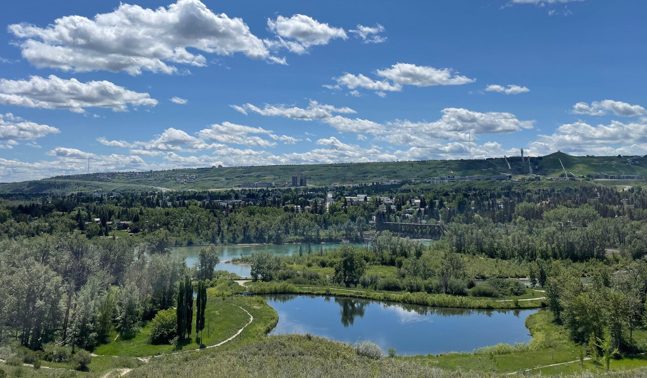Image7.jpg