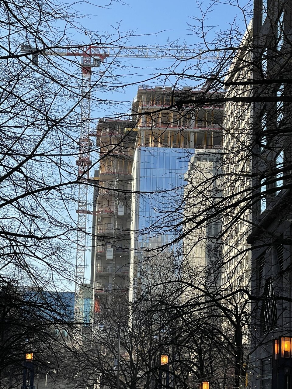 IMG_0013.jpeg