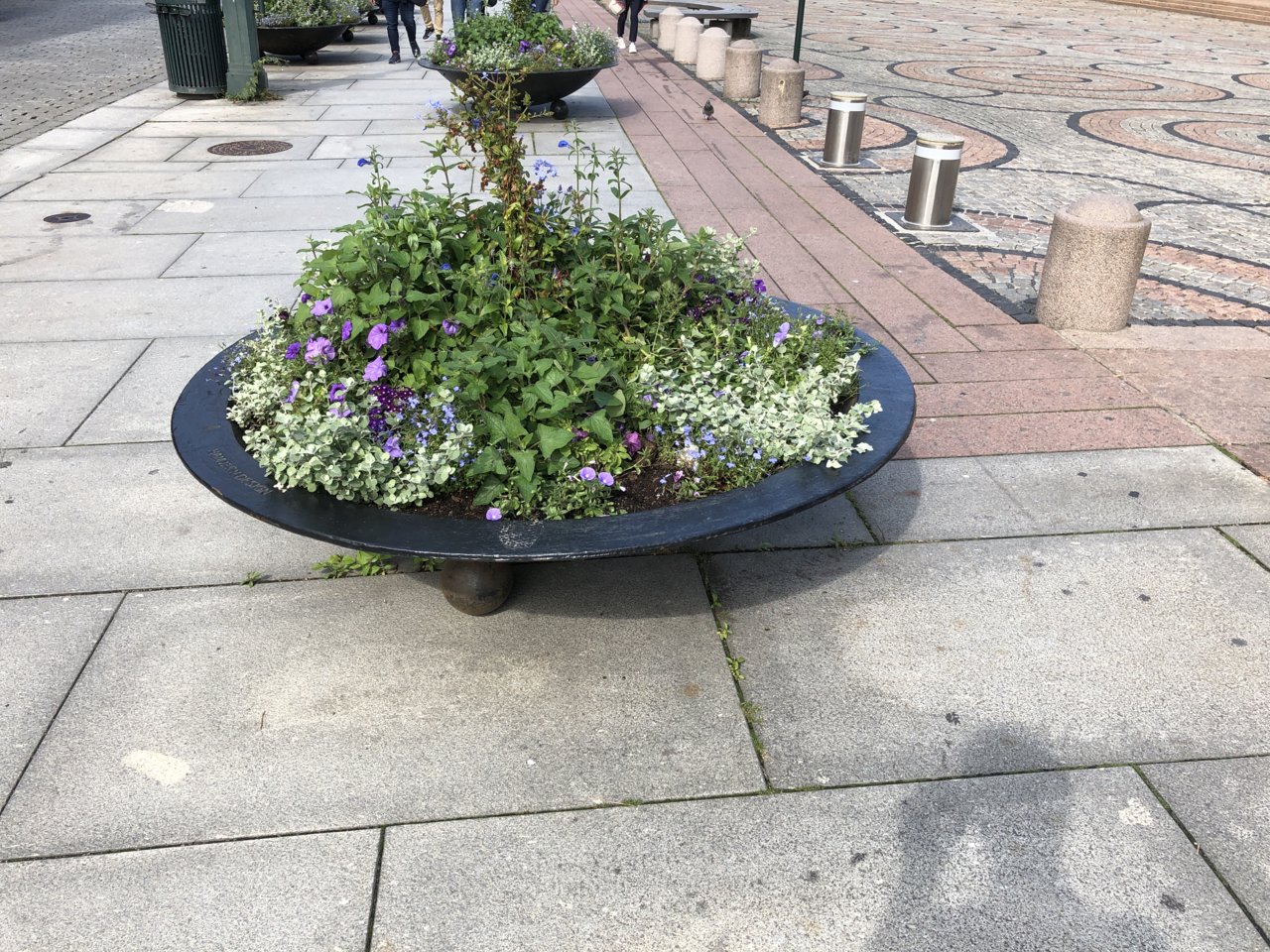IMG_0027.jpeg