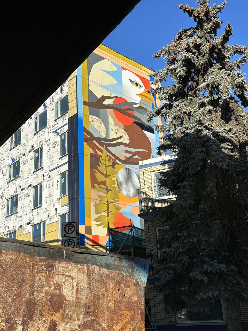 IMG_0066.jpeg
