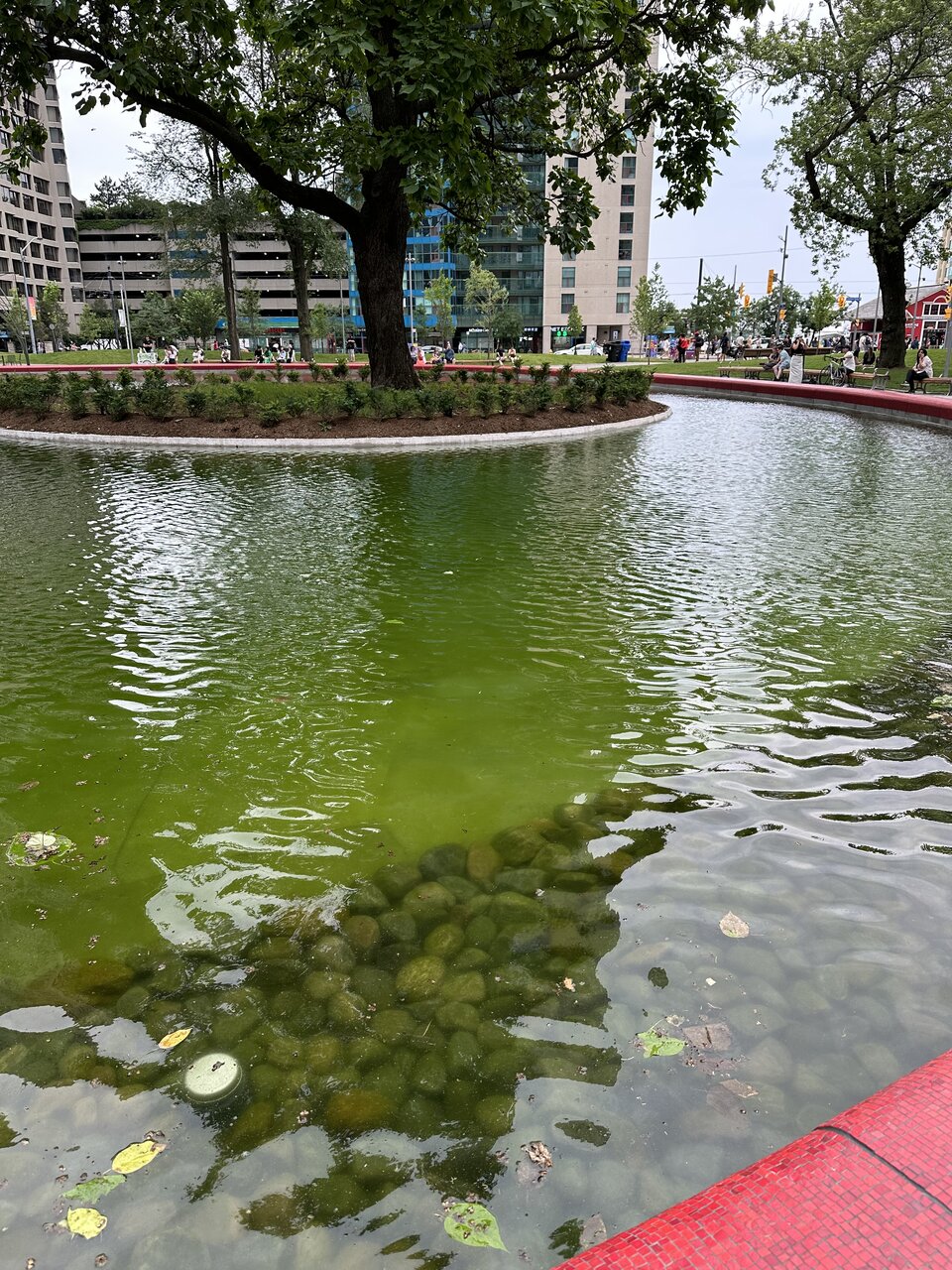 IMG_0237.jpeg