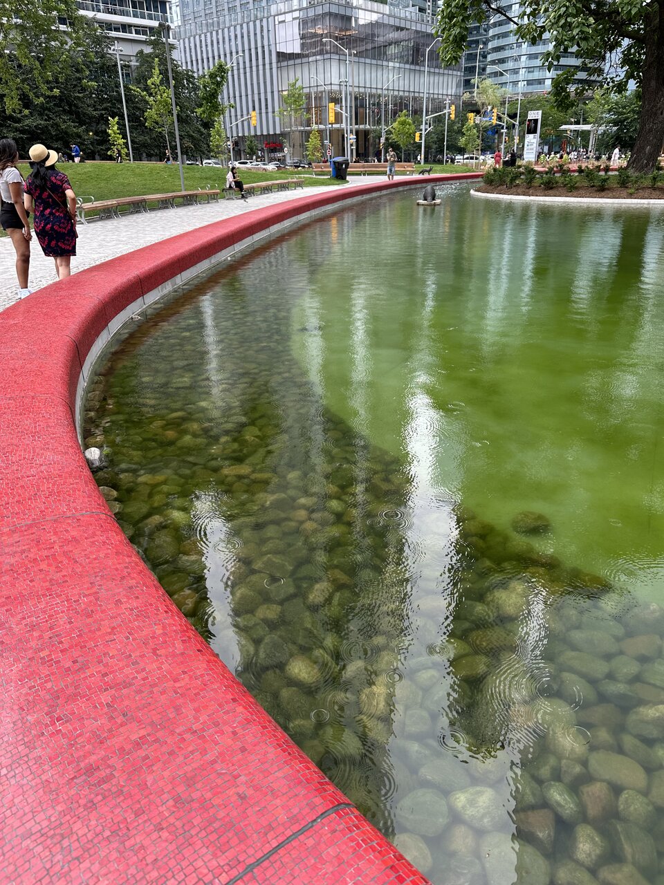 IMG_0241.jpeg