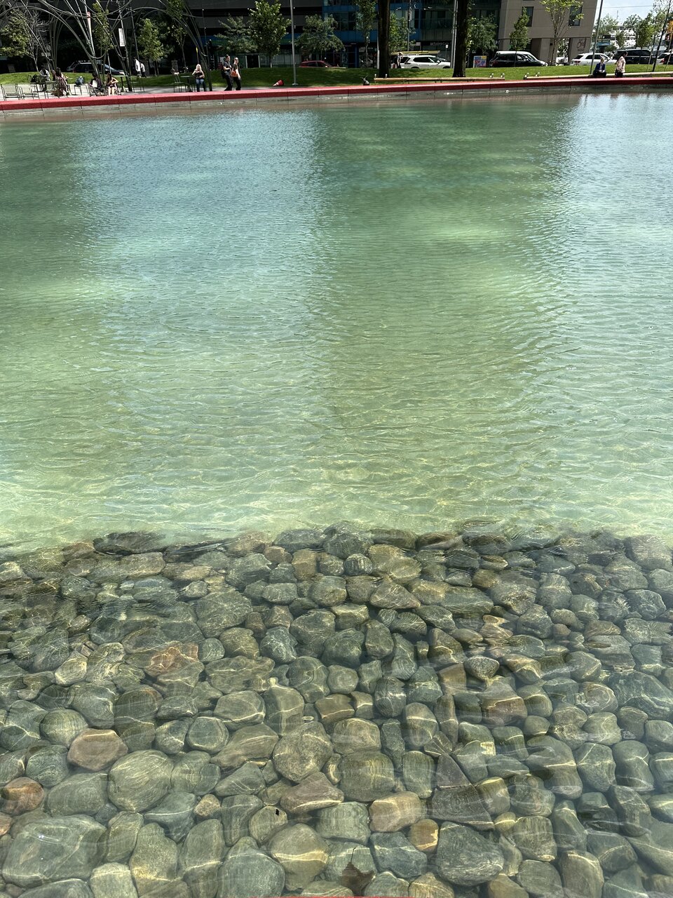 IMG_0419.jpeg