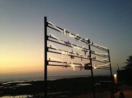 IMG_0464.jpeg