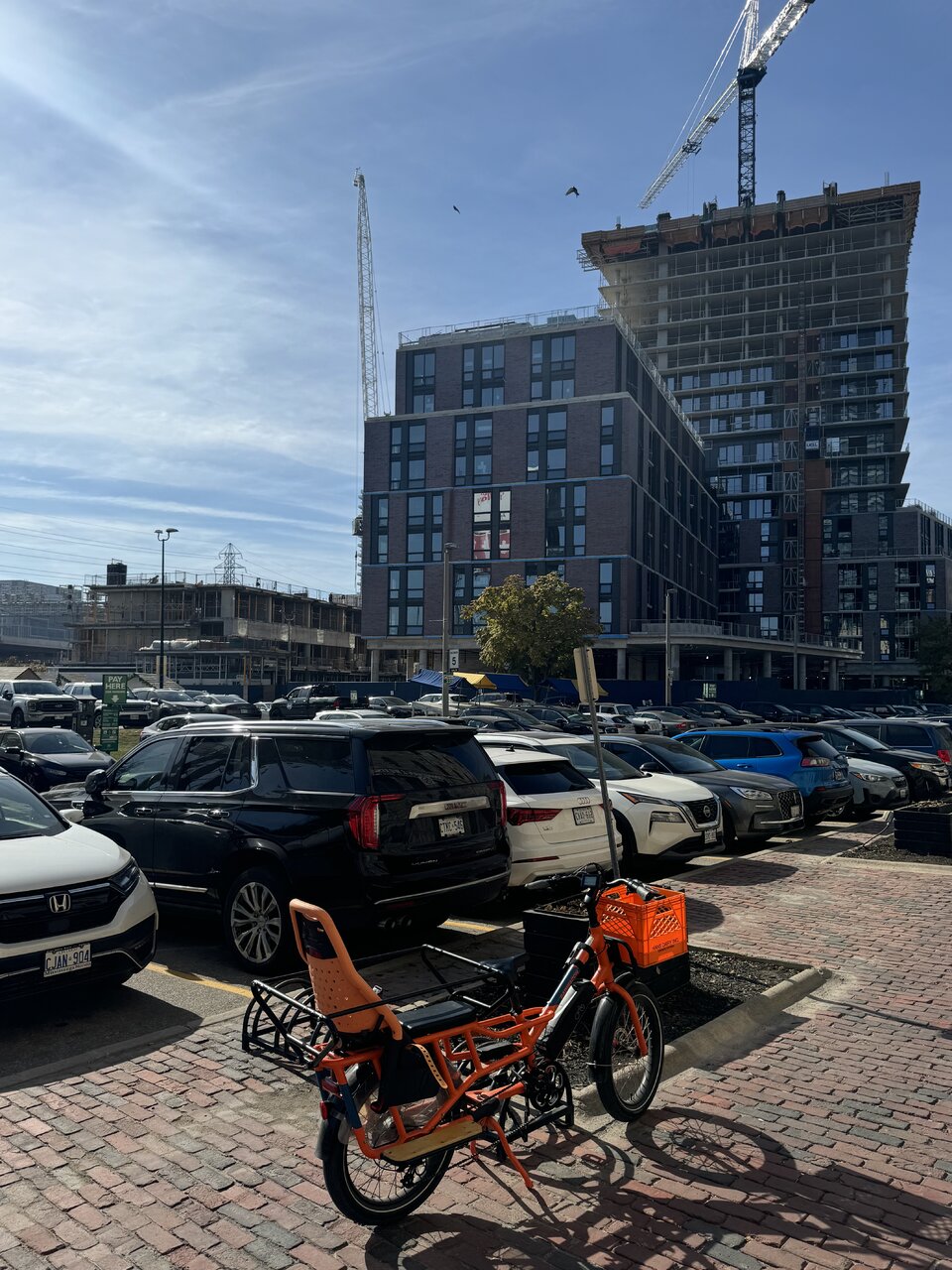 IMG_0487.jpeg
