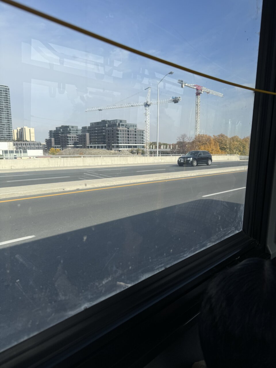 IMG_0557.jpeg