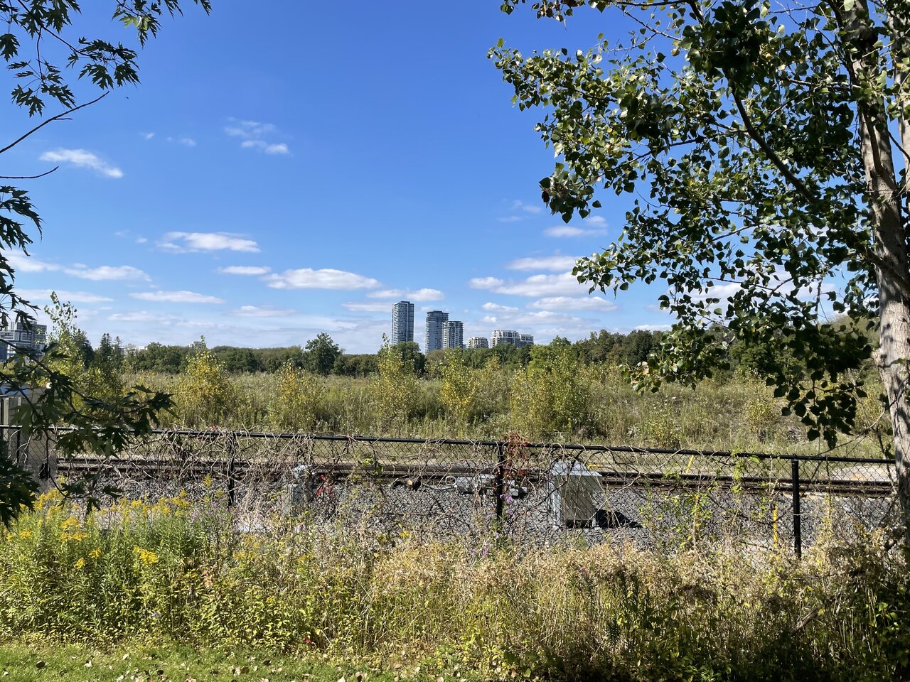 IMG_0581.jpeg