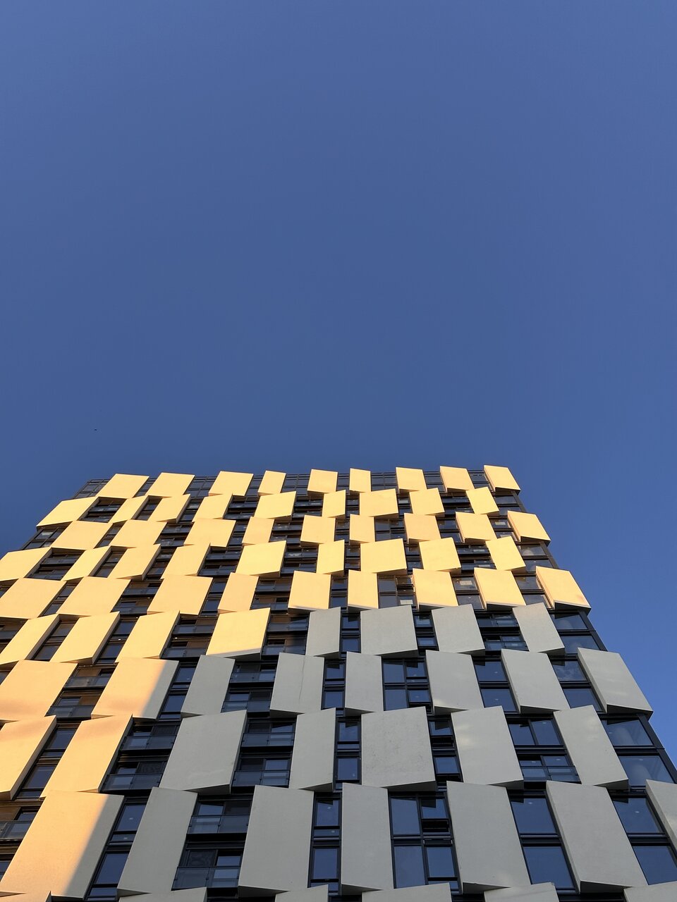 IMG_0662.jpeg