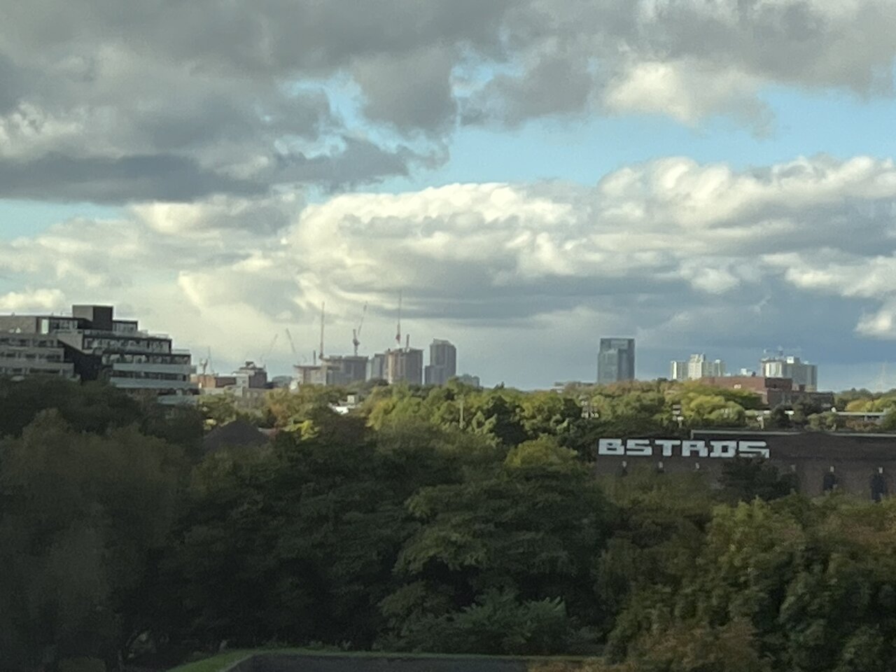 IMG_0666.JPEG