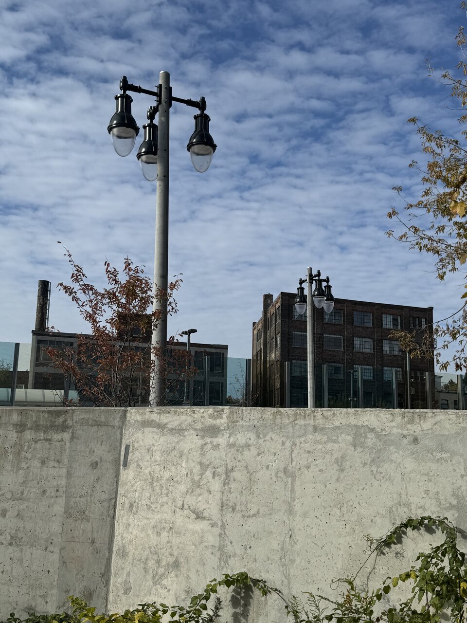 IMG_0723.jpeg