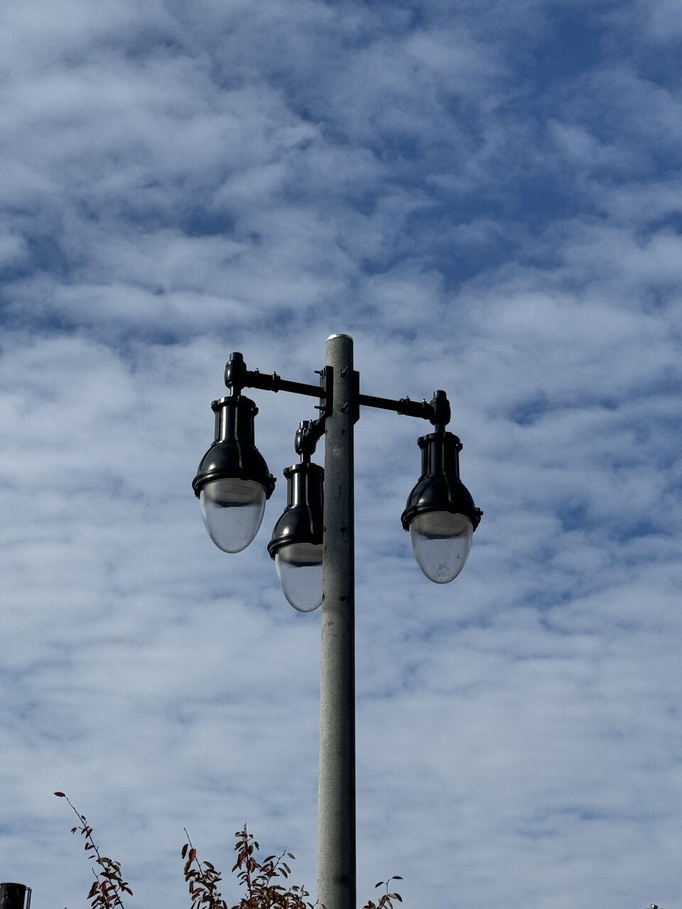 IMG_0724.jpeg