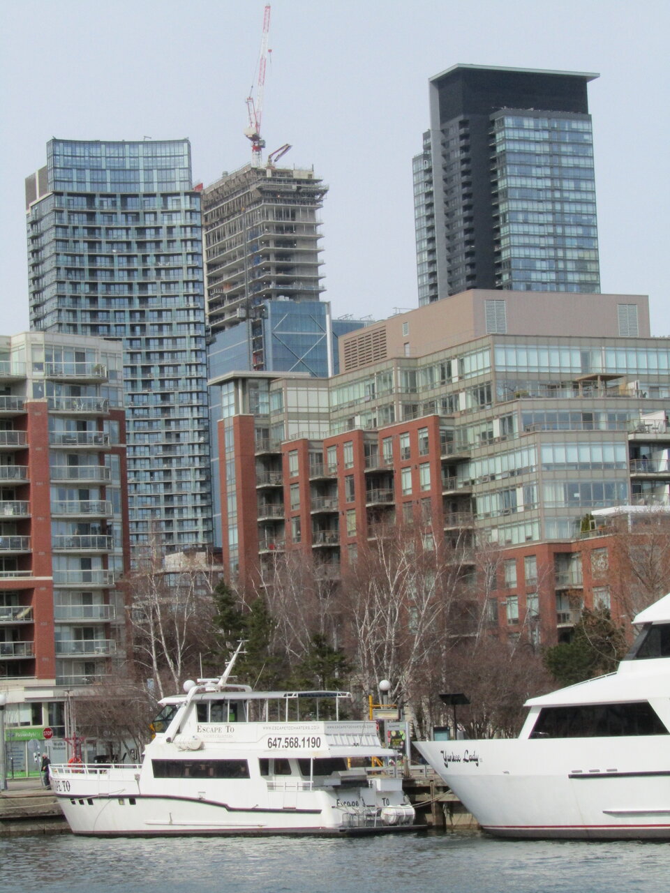 IMG_0745.JPG