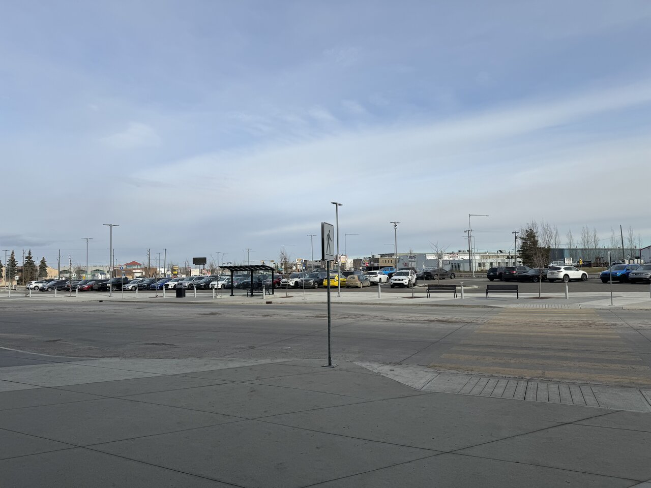 IMG_0799.jpeg