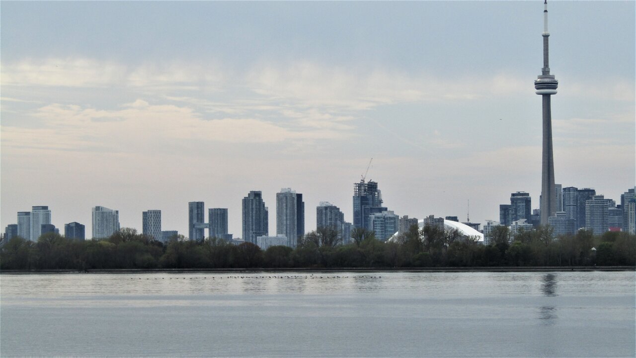 IMG_0806.JPG