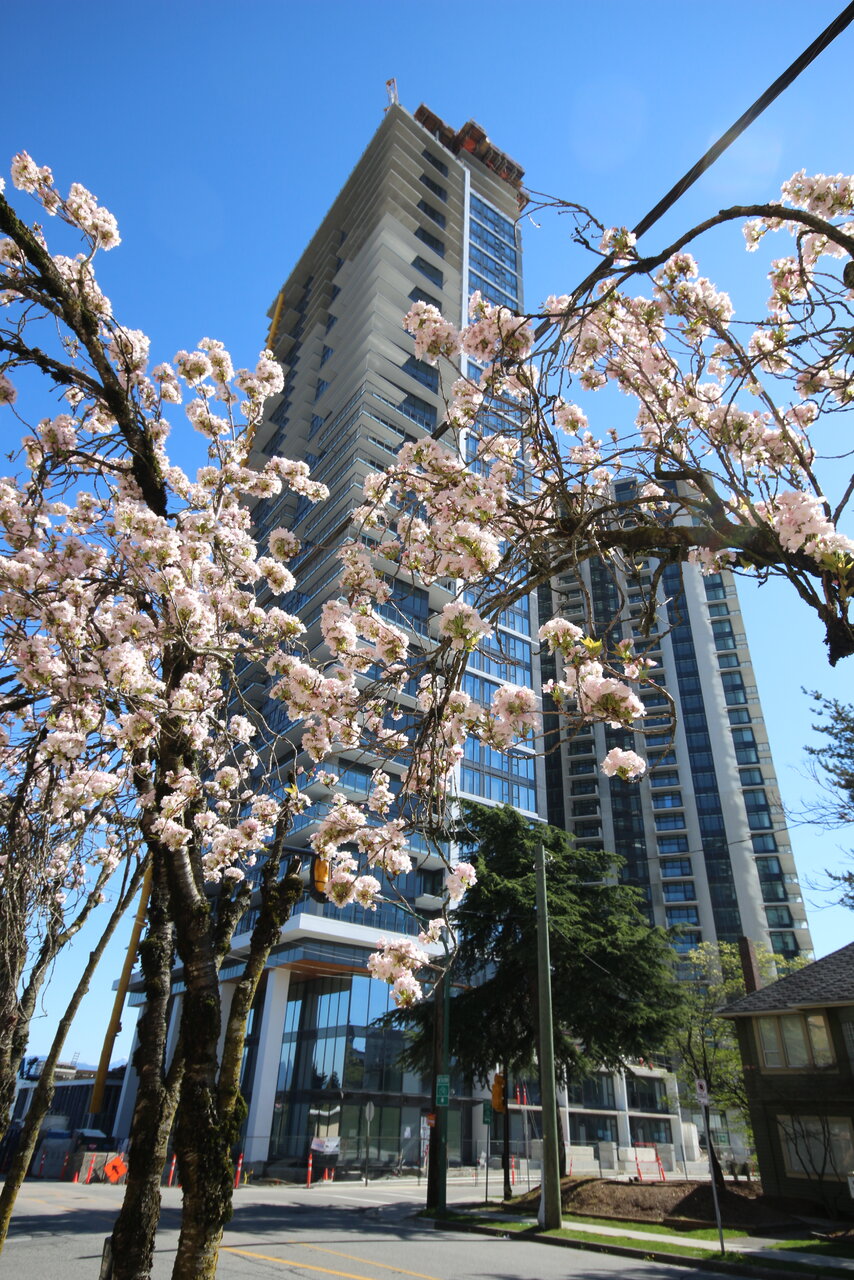 IMG_0839.JPG