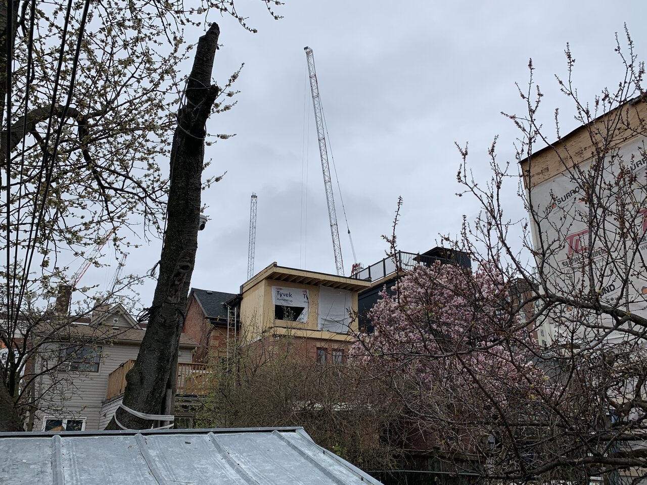 IMG_0866.jpeg