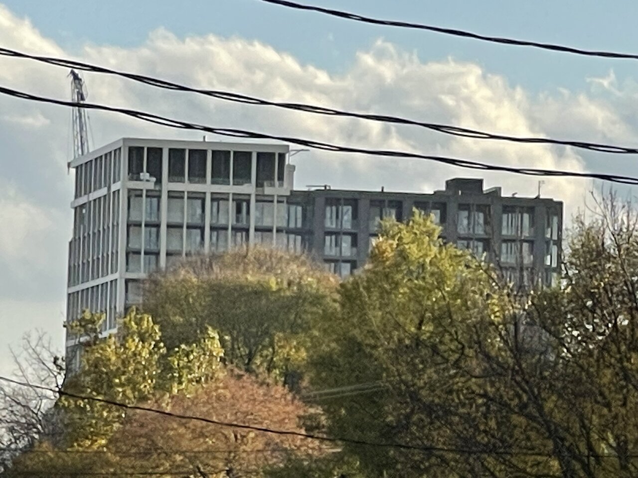 IMG_0867.jpeg