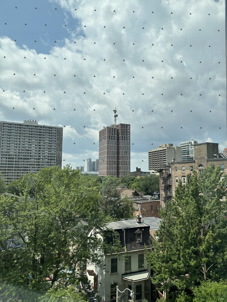 IMG_0869.jpeg