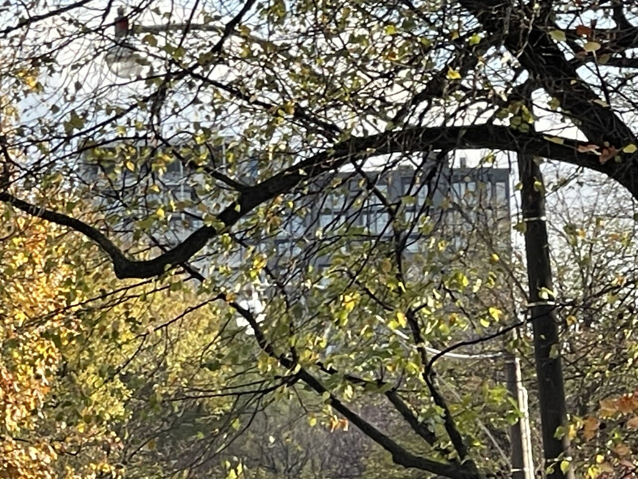 IMG_0873.jpeg