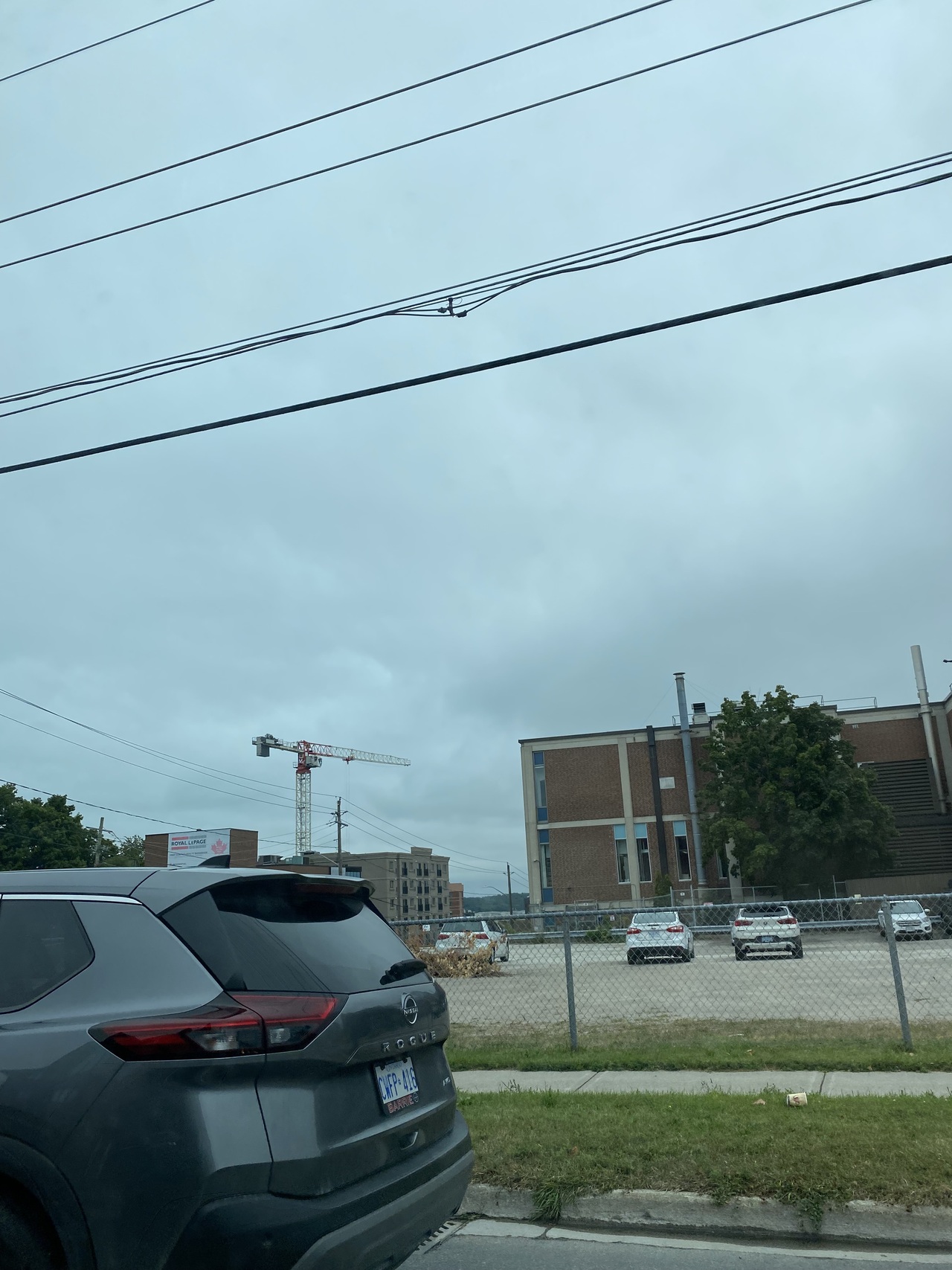 IMG_0884.jpeg