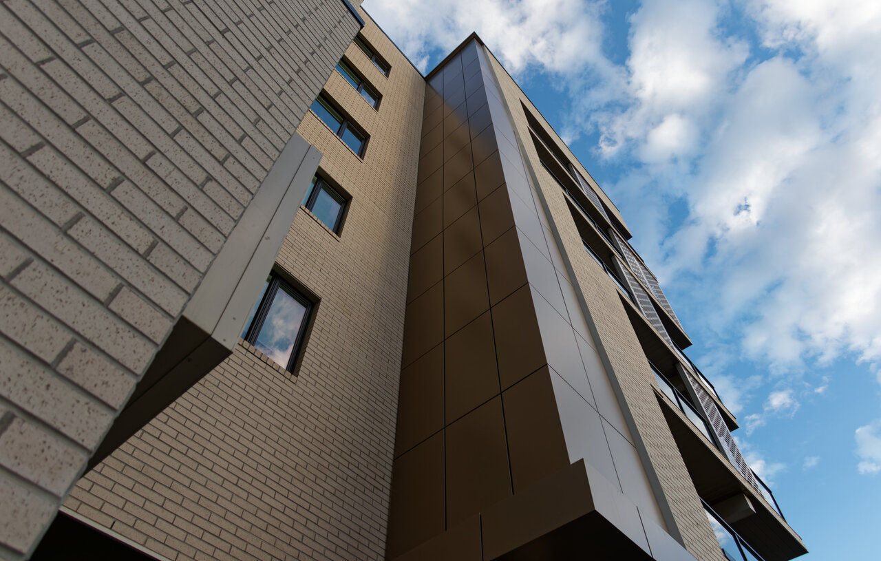 IMG_0906exp.jpg