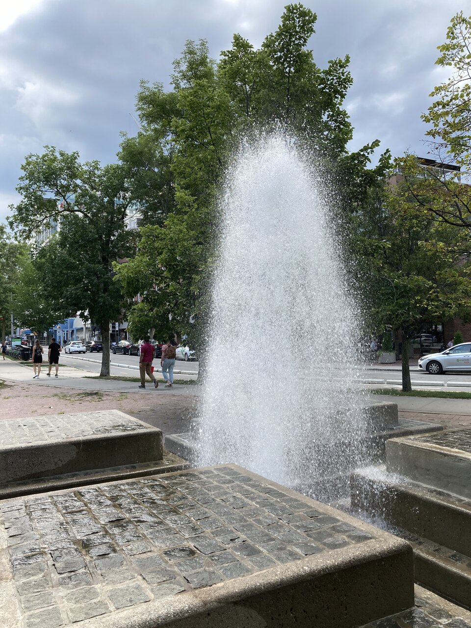 IMG_0987[1].JPG