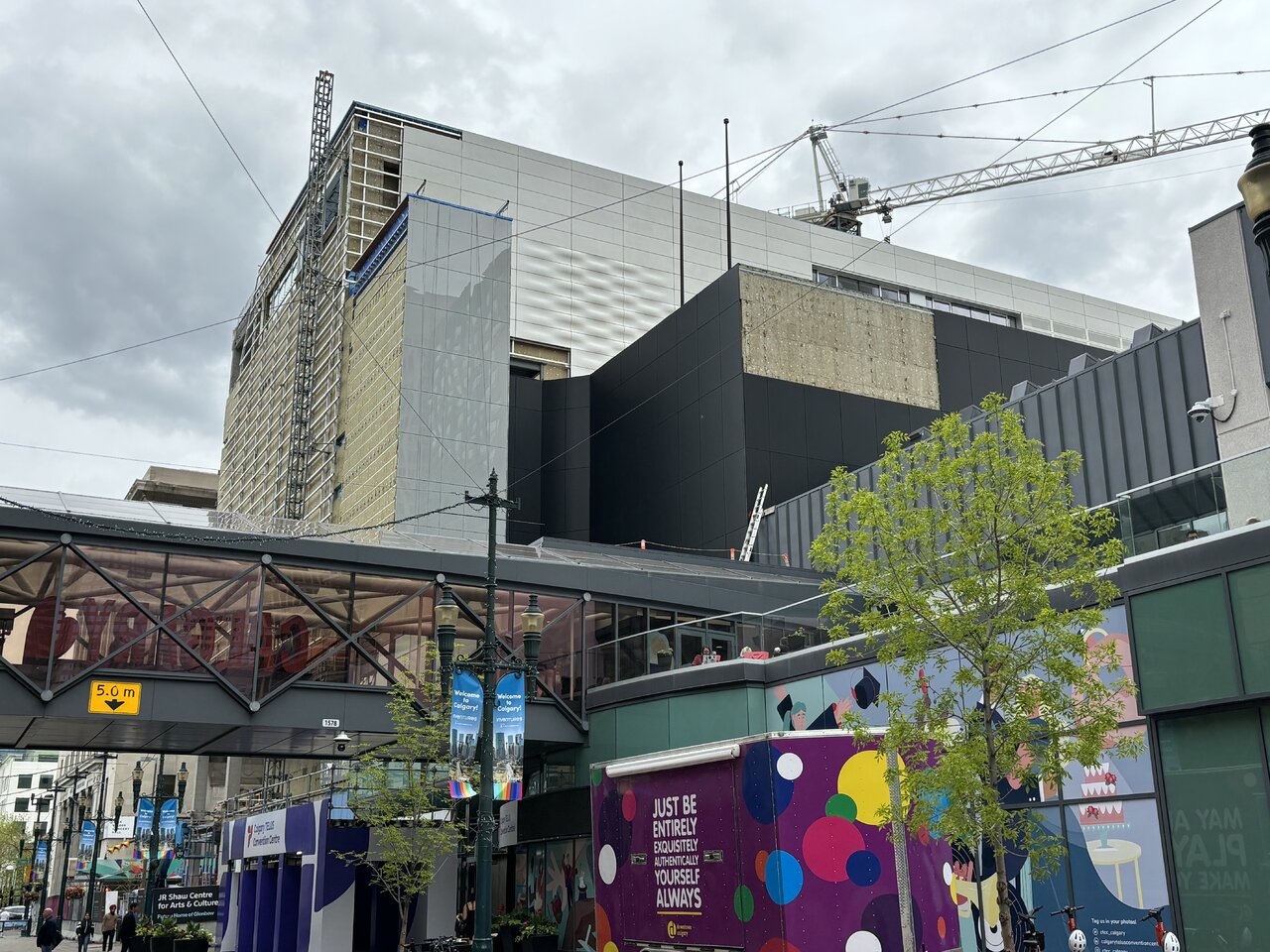 IMG_1053.jpeg