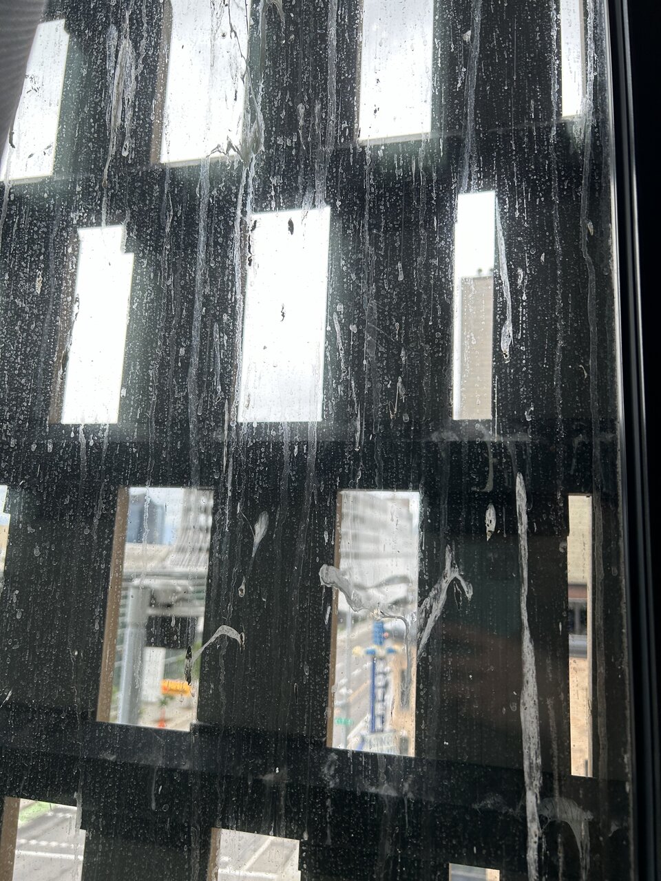 IMG_1066.jpeg