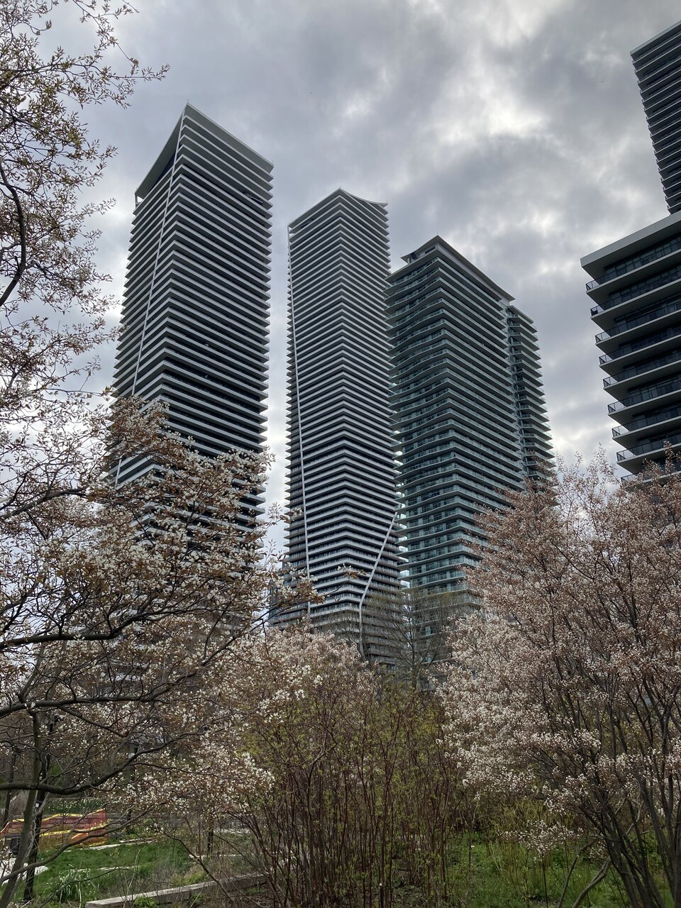 IMG_1102.jpeg