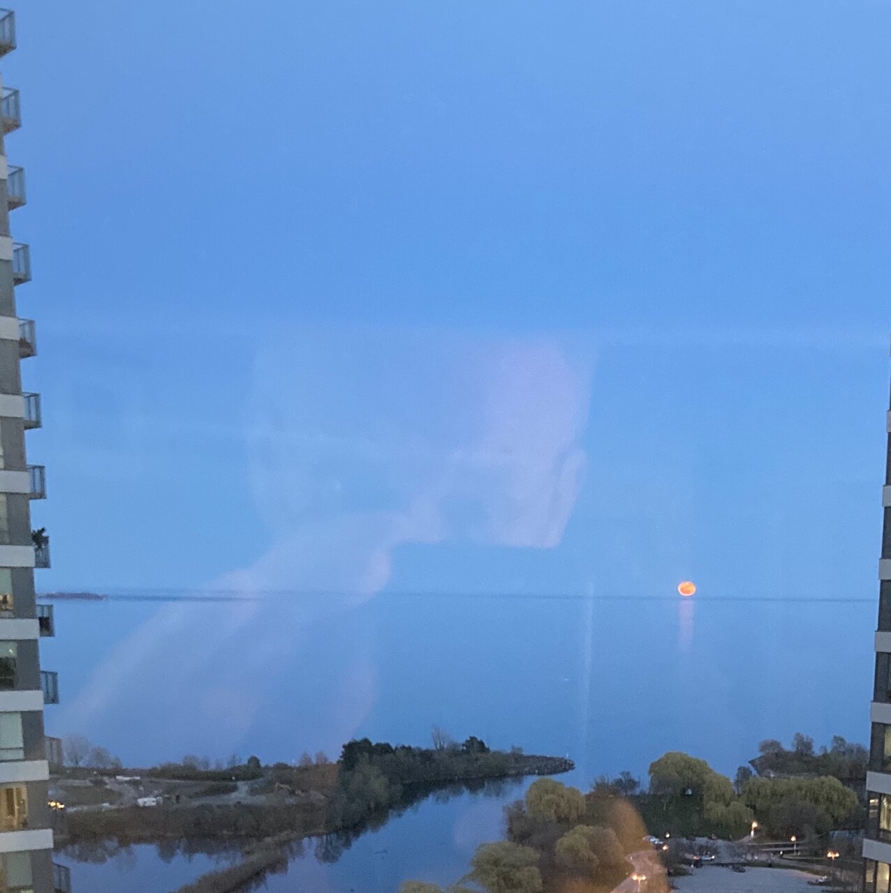 IMG_1118.jpeg