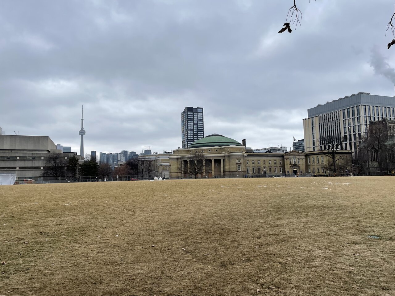 IMG_1138.jpeg