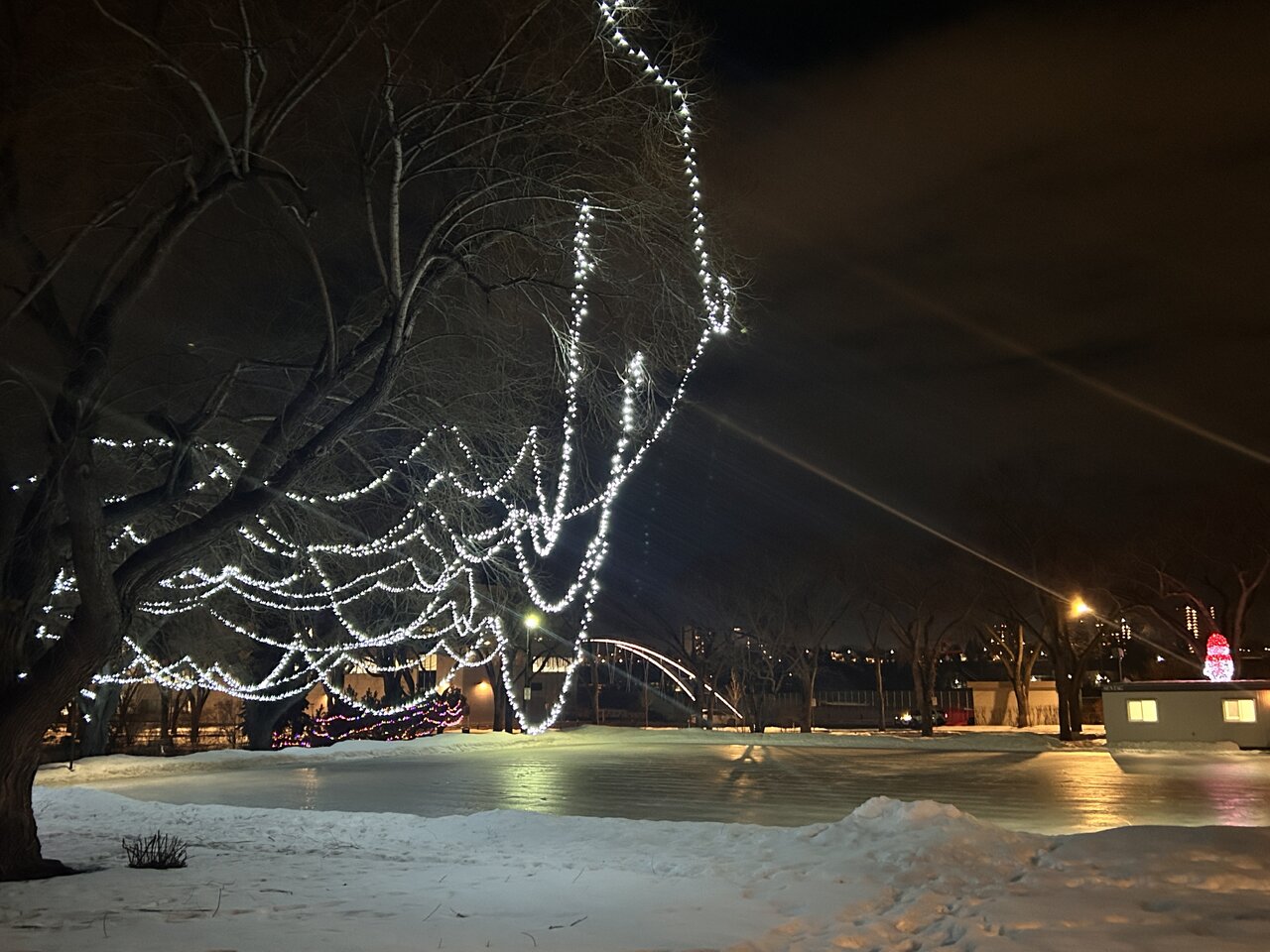 IMG_1158.JPG