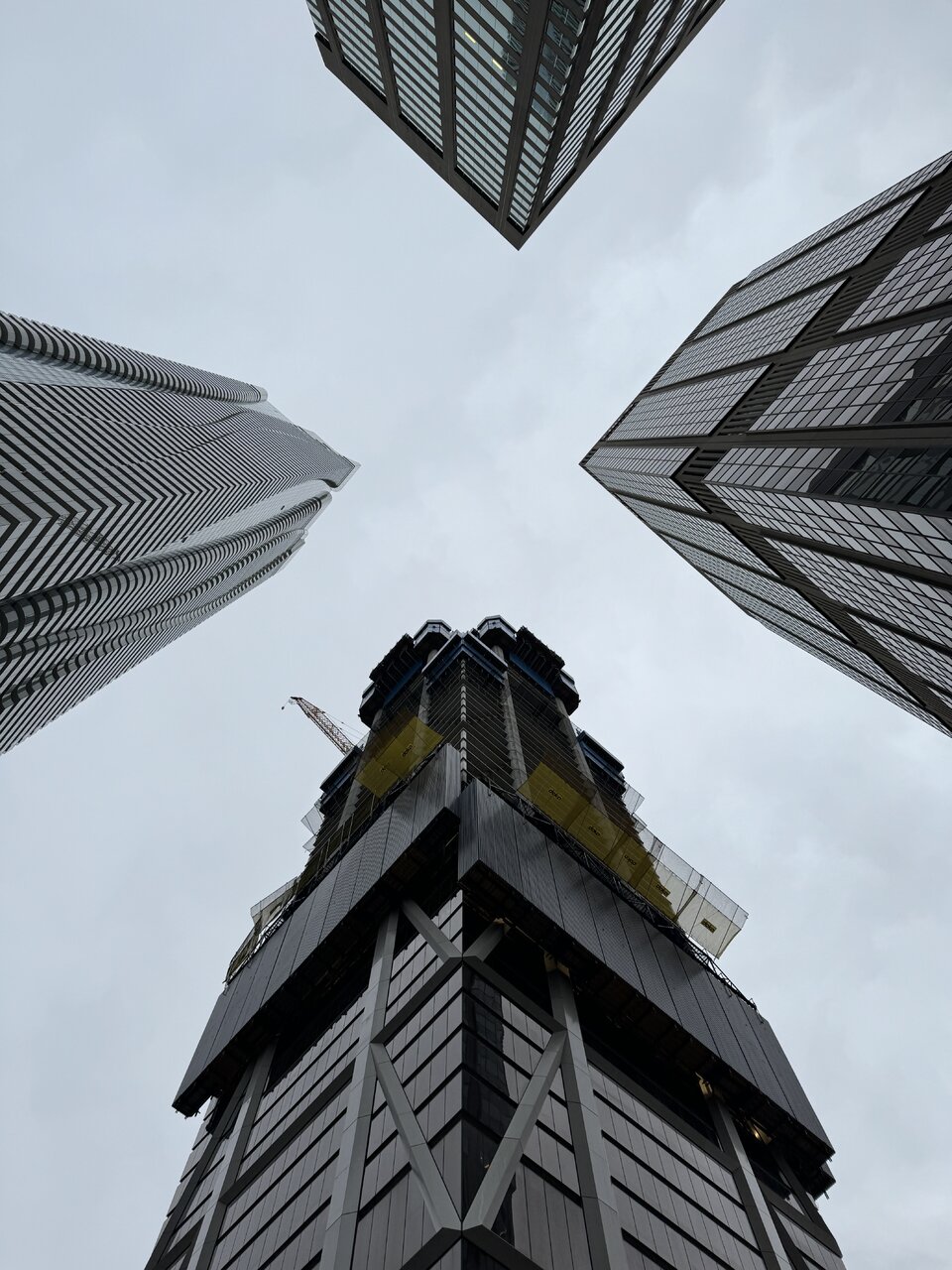IMG_1187.jpeg