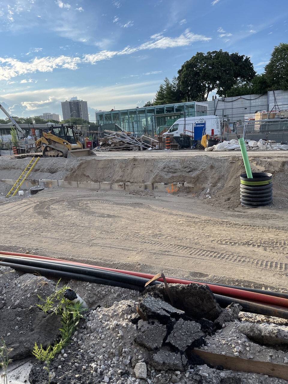 IMG_1302.jpg