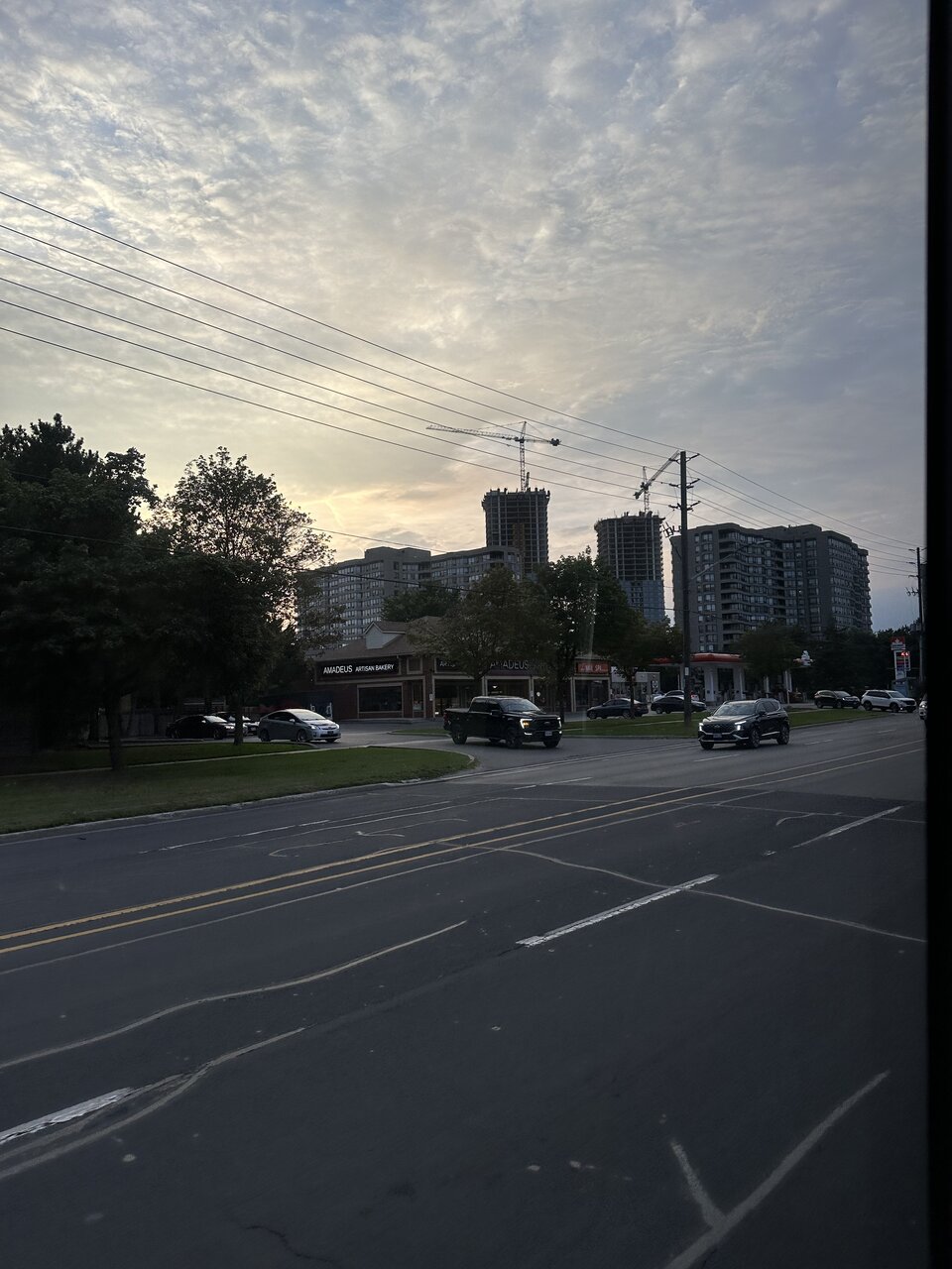 IMG_1305.jpeg